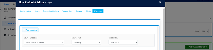 screenshot of Flow Endpoint Editor-Target to access mapping functionality