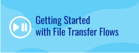 View demo for getting started with file transfers