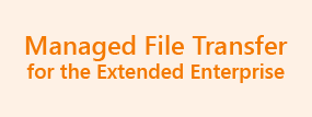 Read White Paper: Managed File Transfer for the Extended Enterprise