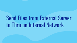 View demo for sending files from external server to Thru on internal network [5:00]