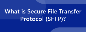 Read eBook: What Is Secure File Transfer Protocol? A Complete Guide to SFTP